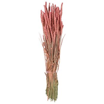 Getrockneter Weizen rosa gefärbt Deko-Weizen...