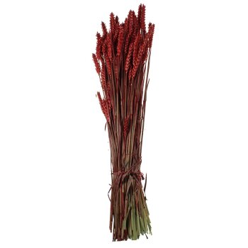 Getrockneter Weizen rot gefärbt Deko-Weizen Deko-Getreide