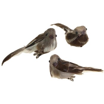 Naturfarbene Federvögel am Clip 9-10 cm 2 Sorten 6er-Set