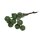 Beerenbund grün mit 10 Beeren gefrostet 9 cm grüne Bastelbeeren