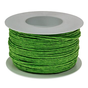Papierdraht apfelgrün umwickelt apfelgrüne Papierkordel mit Draht 2 mm apfelgrüne Drahtschnur