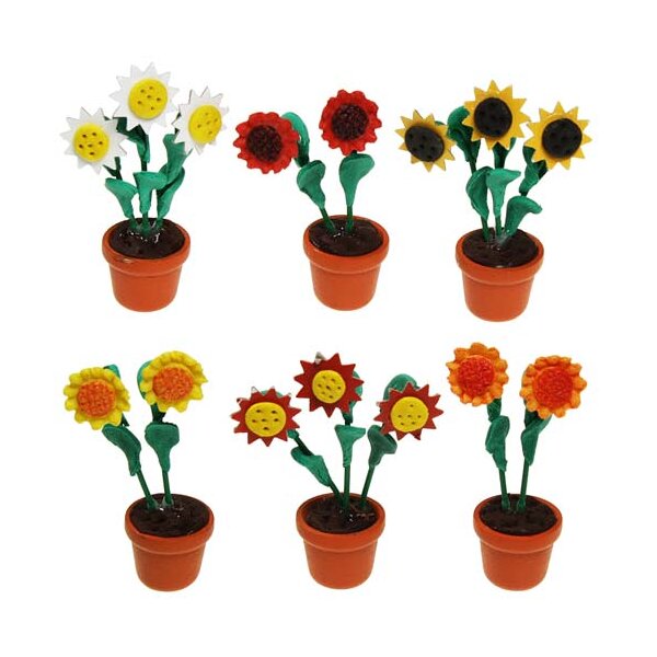 Sonnenblumen im Topf 4,5 cm