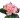 Künstlicher Primel-Busch 18 Blüten 23 cm in verschiedenen Farben verfügbar